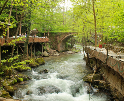 SAPANCA & ZOO TOUR FROM ISTANBUL